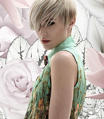 Bloom foto galerÃa 4